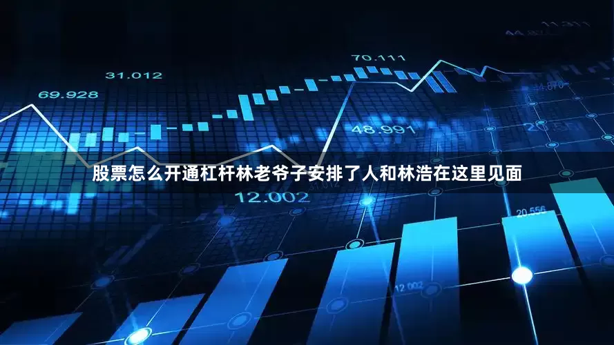 股票怎么开通杠杆林老爷子安排了人和林浩在这里见面