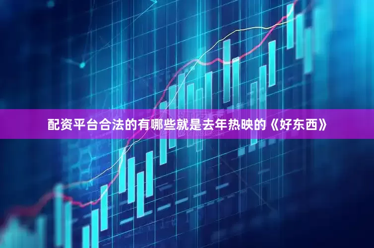 配资平台合法的有哪些就是去年热映的《好东西》