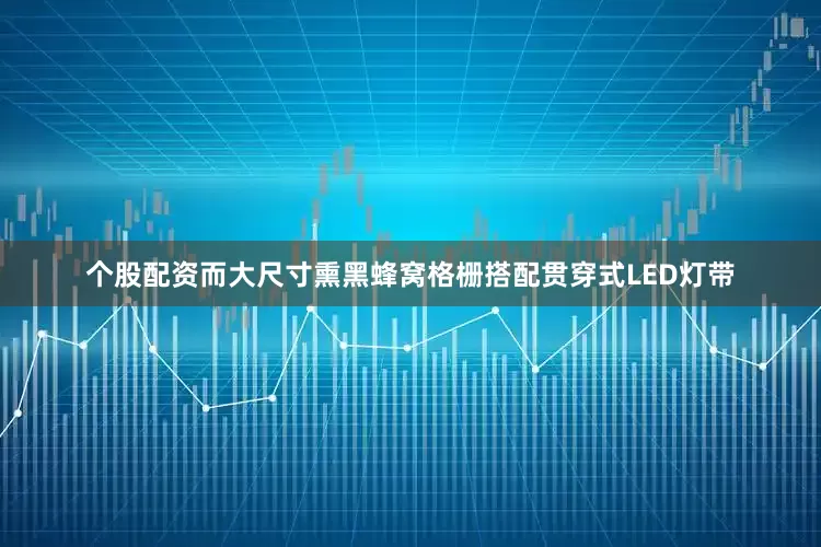 个股配资而大尺寸熏黑蜂窝格栅搭配贯穿式LED灯带