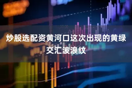 炒股选配资黄河口这次出现的黄绿交汇波浪纹