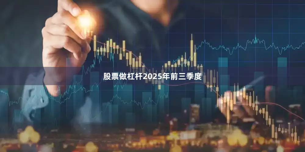 股票做杠杆　　2025年前三季度