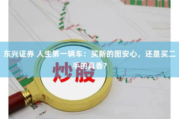 东兴证券 人生第一辆车：买新的图安心，还是买二手的真香?